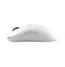 White Shark POMPEY WGM-9014, White