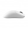 White Shark POMPEY WGM-9014, White
