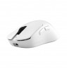 White Shark CAMILLUS WGM-9013, White