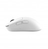 White Shark CAMILLUS WGM-9013, White