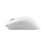 White Shark AGAMEMNON WGM-9012, White