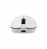 White Shark AGAMEMNON WGM-9012, White