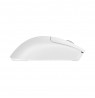 Baracuda MORAY BGM-132, White