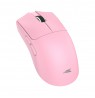 Baracuda MORAY BGM-133, Pink