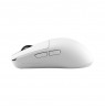 White Shark AURELIAN WGM-9011,White