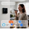 Qoltec 52712 Smart Touch 2-Gang Light Switch | Wi-Fi | Timer | Tuya | Smart Life | Tempered Glass | Black