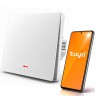 Qoltec 52719 Smart 1-Gang Light Switch | Wi-Fi | Timer | Tuya | Smart life | White