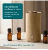 Homedics ARMH-800ST-WW Waterless Home Fragrance Diffuser