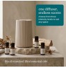 Homedics ARMH-671BG-WW SereneScent Flow Waterless Essential Oil Diffuser