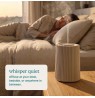 Homedics ARMH-671BG-WW SereneScent Flow Waterless Essential Oil Diffuser