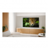 Sharp 70HL4265E 70" (178cm) 4K Ultra HD LED Google TV | Sharp