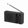 Manta MARDI120BK COSTA Portable FM/AM Radio with Built-in Rechargeable Battery, Black