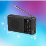 Manta MARDI120BK COSTA Portable FM/AM Radio with Built-in Rechargeable Battery, Black