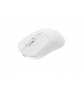 FURY Tanto T4 gaming mouse wireless 12000 dpi white