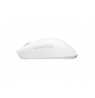 FURY Tanto T4 gaming mouse wireless 12000 dpi white