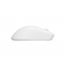 FURY Tanto T4 gaming mouse wireless 12000 dpi white