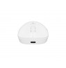 FURY Tanto T4 gaming mouse wireless 12000 dpi white