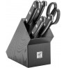 Set of 4 knives in a block ZWILLING Gourmet 1026254