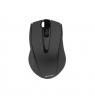 A4-TECH A4TMYS40974 Mouse A4Tech V-TRACK G9-500F-1 Black RF nano