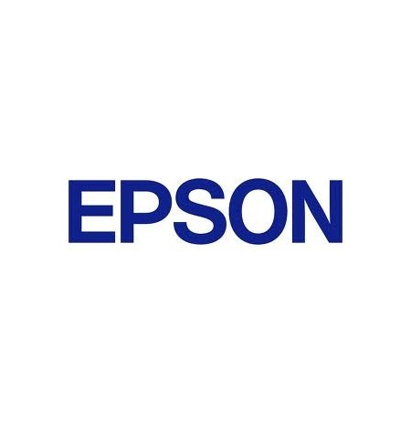 EPSON Singlepack Photo Black T850100