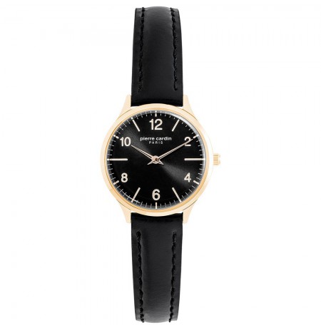 Pierre Cardin PC902682F118