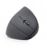Gembird Ergonomic wireless optical mouse MUSW-ERGO-01, 1600 DPI, USB, black