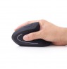 Gembird Ergonomic wireless optical mouse MUSW-ERGO-01, 1600 DPI, USB, black