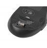Keyboard + mouse Set membrane NATEC Stingray NZB-1440 (USB (Radio 2.4 GHz), (US), black color, Optical, 1600 DPI, 800 DPI)