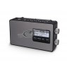 Radio portable Panasonic RF-D10EG-K (black and silver color)