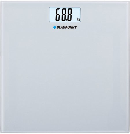 Blaupunkt BSP301