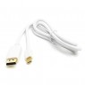 Kabelis mini DisplayPort - DisplayPort, 1m