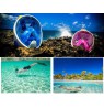 Free Breath Snorkeling Mask M2068G L/XL blue