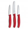 Victorinox peiliai 6.7111.3