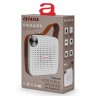 Aiwa BS-100GY white/grey