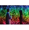 TWINKLY Strings 400 Special Edition (TWS400SPP-BEU) Smart Christmas tree lights 400 LED RGB+W 32 m