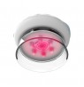 Homedics CELL-600 Smoothe
