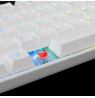 White Shark Shinobi GK-2022 white/red