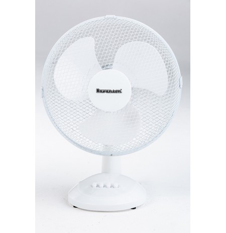 Fan Ravanson WT-1040 White