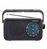 RADIO PPORTABLE Blaupunkt  PR9BK
