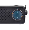 Blaupunkt PR9BK