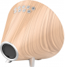 Nasa WSP1700 wood Weather Station/Speaker BT Ship