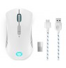 LENOVO LEGION M600 WIRELESS GAMING MOUSE STINGRAY