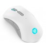 Lenovo Legion M600 Wireless Gaming mouse Ambidextrous RF Wireless + Bluetooth + USB Type-A Optical 16000 DPI