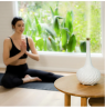 Homedics ARM-508WT Harmony Aroma Diffuser