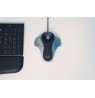Pelė su rutuliniu manipuliatoriumi Kensington Orbi Wired Trackball Optical
