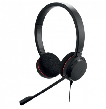 Ausinės su mikrofonu Jabra Evolve 20 MS Stereo