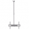 Sunne | Ceiling mount | PL-C62 | Tilt | 37-70 " | Maximum weight (capacity) 50 kg | Silver