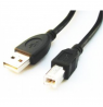 Cablexpert | CCP-USB2-AMBM-6 | USB-A to USB-B USB B