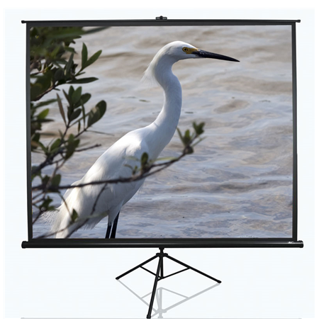 Elite Screens Tripod Series T100UWV1 Diagonal 100 ", 4:3, Viewable screen width (W) 203 cm, Black