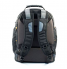Targus Drifter Fits up to size 15.6 ", Black/Grey, Backpack, Shoulder strap